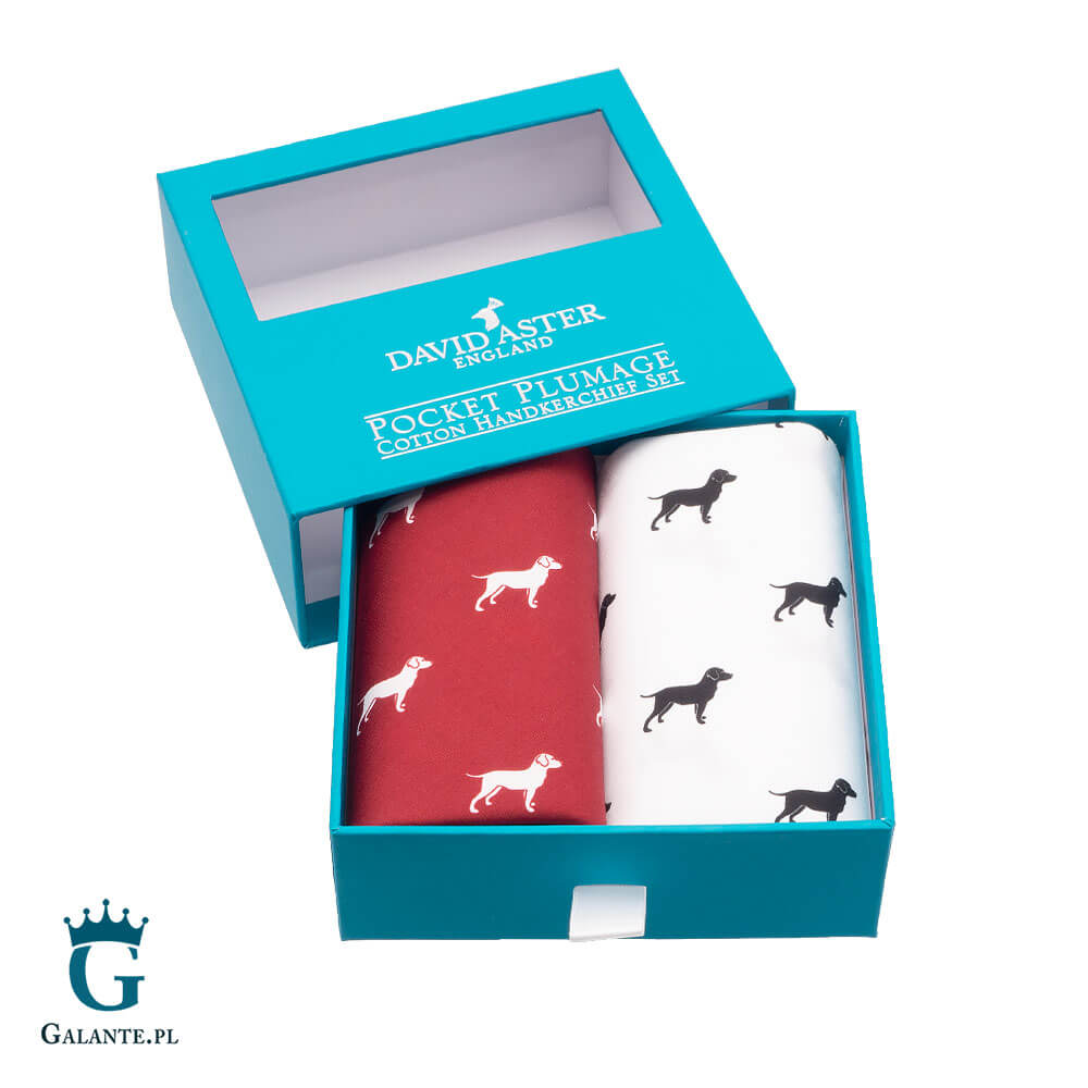 Chusteczki męskie Rower dla Kolarza HR-19