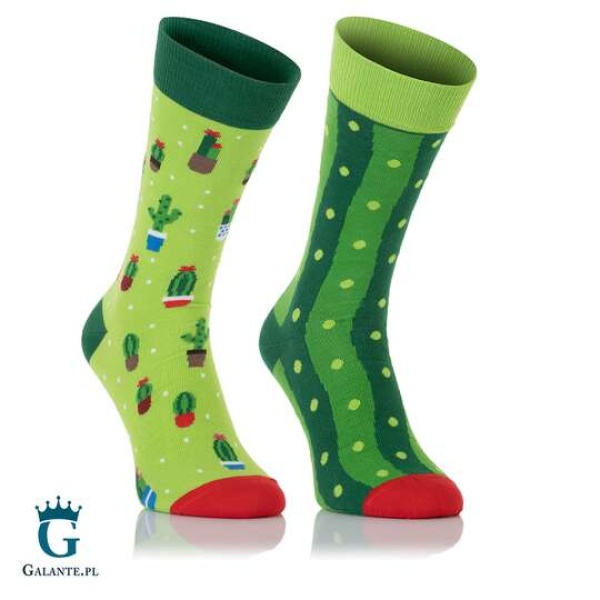 Kolorowe skarpetki męskie Nanushki Kaktus