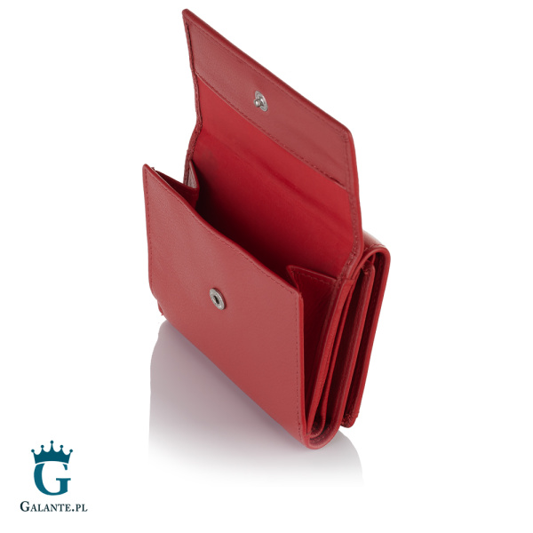 Portfelik damski Valentini Prism 106-128