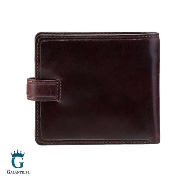 Banknotówka Visconti TSC-41 RFID – brązowy