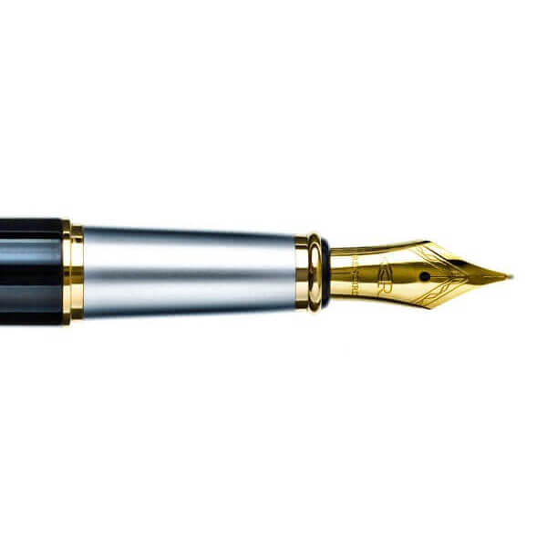Pióro wieczne Pastela Black 1903 B/F