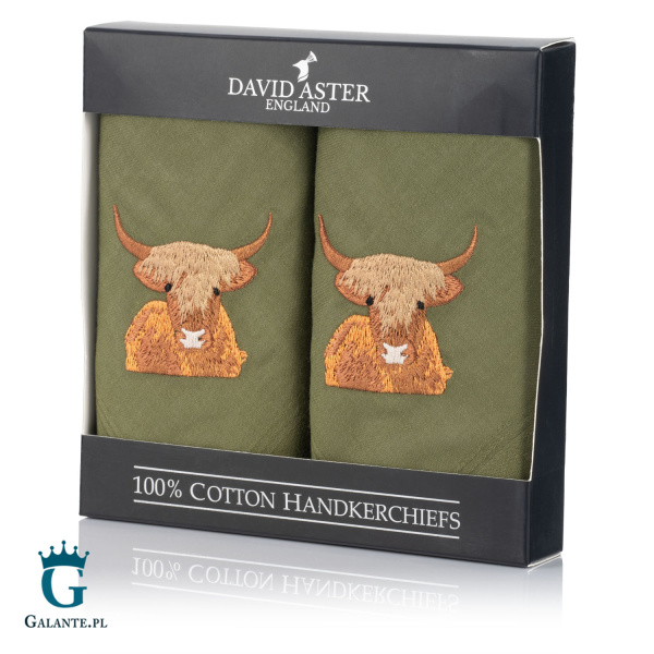 Chusteczki męskie haftowane Krowa Szkocka HR-45