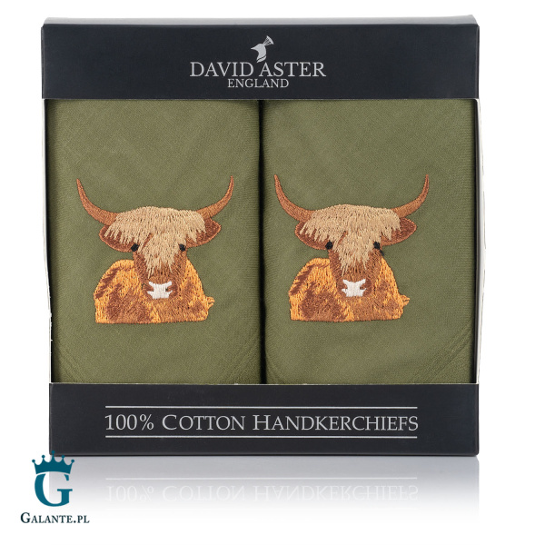 Chusteczki męskie haftowane Krowa Szkocka HR-45