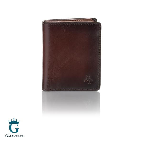 Mały portfel na karty i banknoty Visconti Atelier AT-56 RFID
