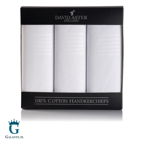 Białe chusteczki męskie bawełniane HR-47