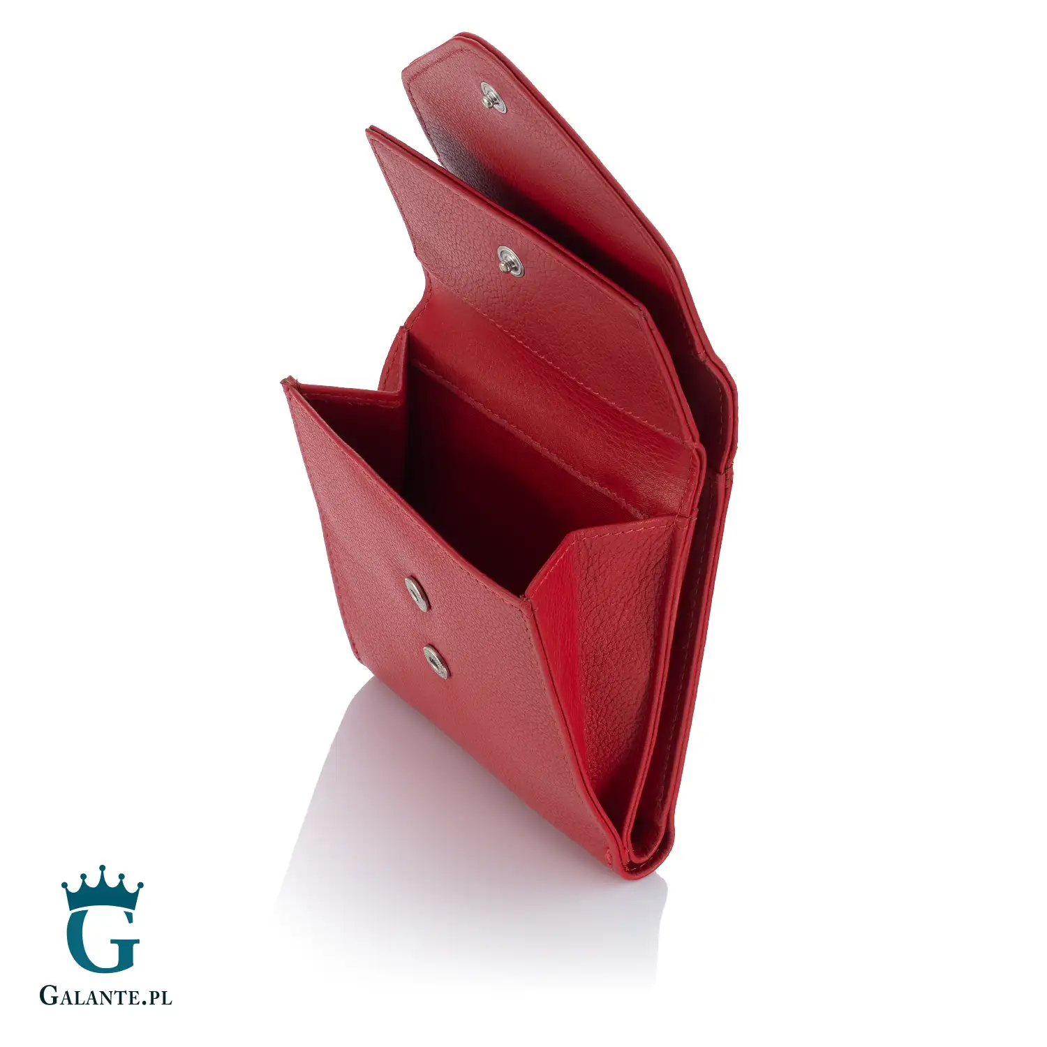 Mały skórzany portfelik damski Valentini 107-417